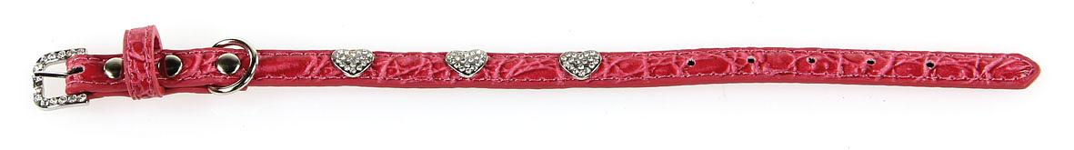 Collier pour chien 3 coeurs