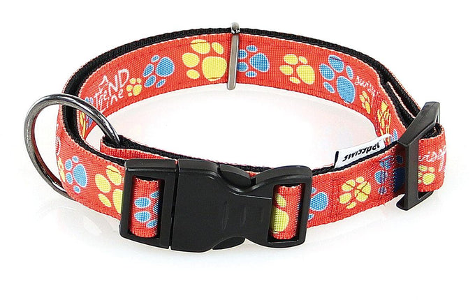 Collier Pawty