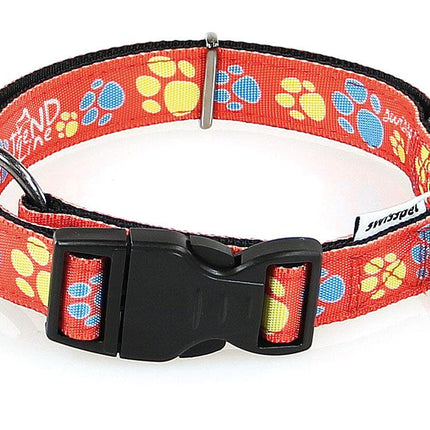 Collier Pawty