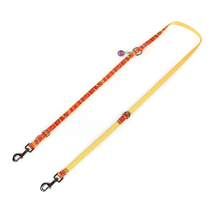 Laisse pour chien Ossito, douce
