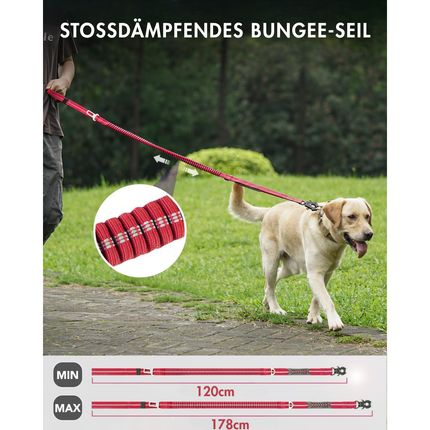 Hundeleine mit Sicherheitsgurt, Red
