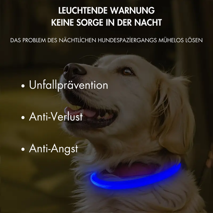 Leuchthalsband Hund, 70 cm