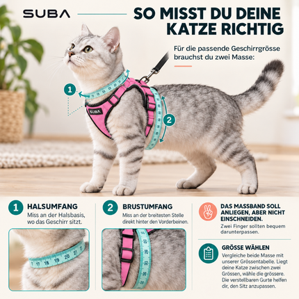 Katzengeschirr mit Leine ausbruchsicher