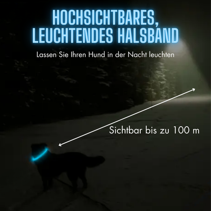 Leuchthalsband Hund, 70 cm