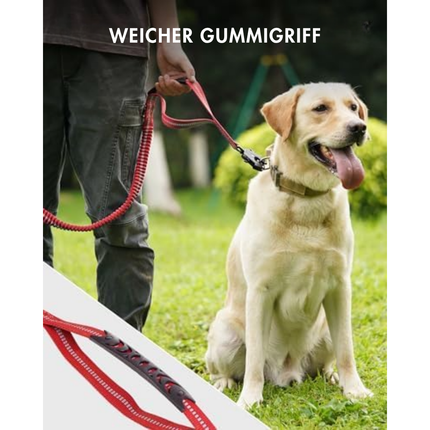 Hundeleine mit Sicherheitsgurt, Red
