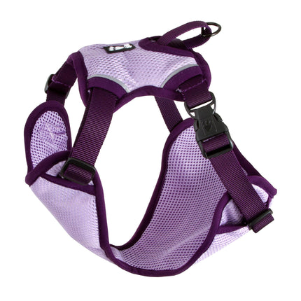 Plats réfrigérants violet 80-100