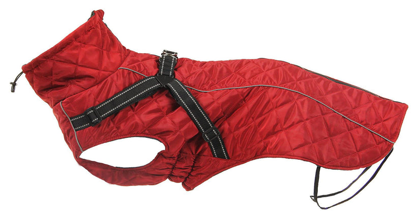 swisspet manteau pour chien Kodiak L rouge