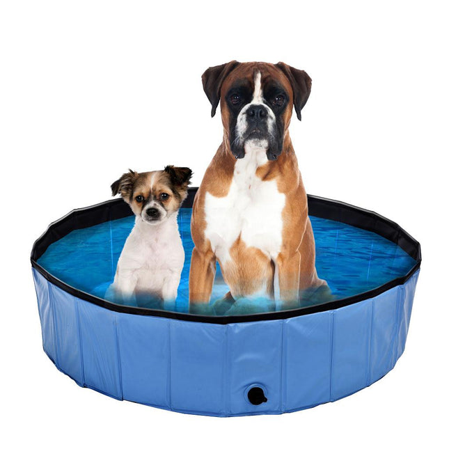 Piscine pour chien Planchi S bleue