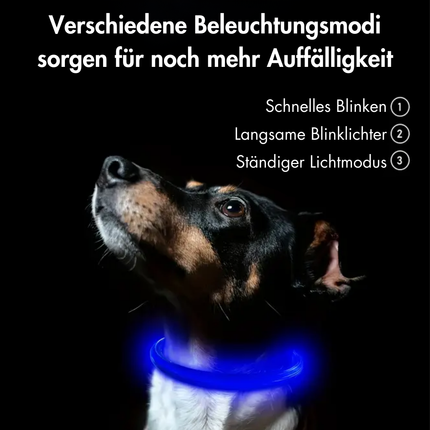 Leuchthalsband Hund, 70 cm