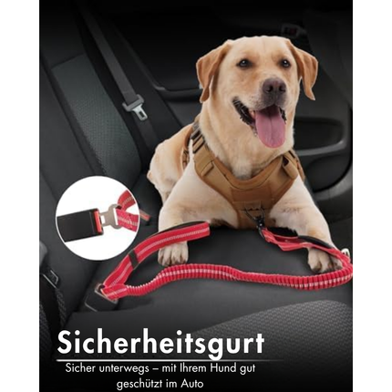 Hundeleine mit Sicherheitsgurt, Red