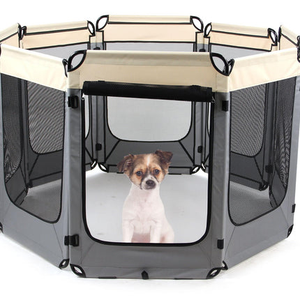Course de chiots Kyle