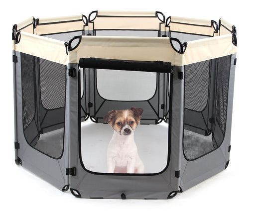 Course de chiots Kyle