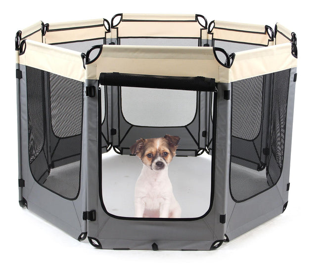 Course de chiots Kyle