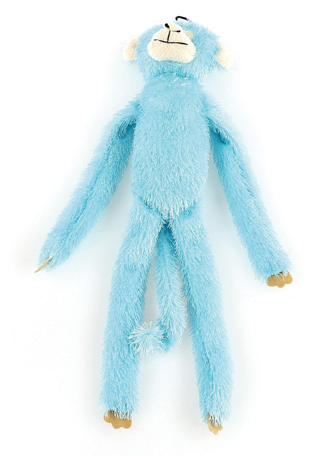 Couleur Singe, bleu clair