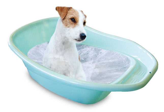 Baignoire pour petits chiens