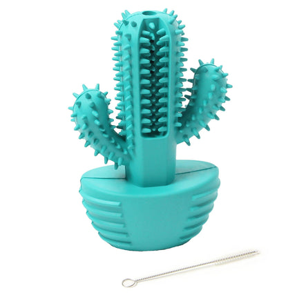 swisspet Dents et jeu Cactus