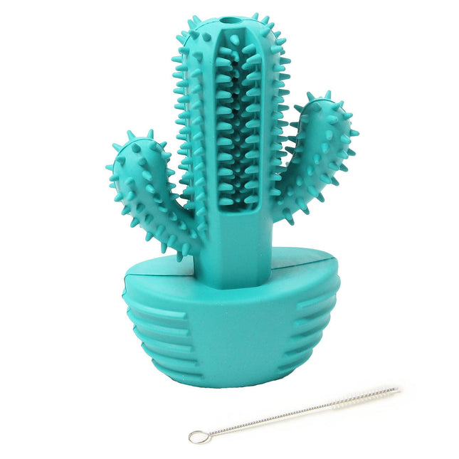 swisspet Dents et jeu Cactus