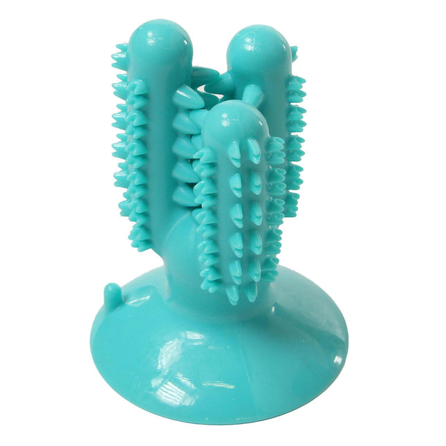 Dents et jouet de dentition