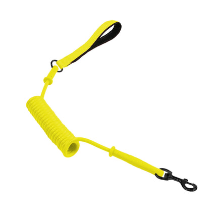 Coureur de laisse pour chien de jogging