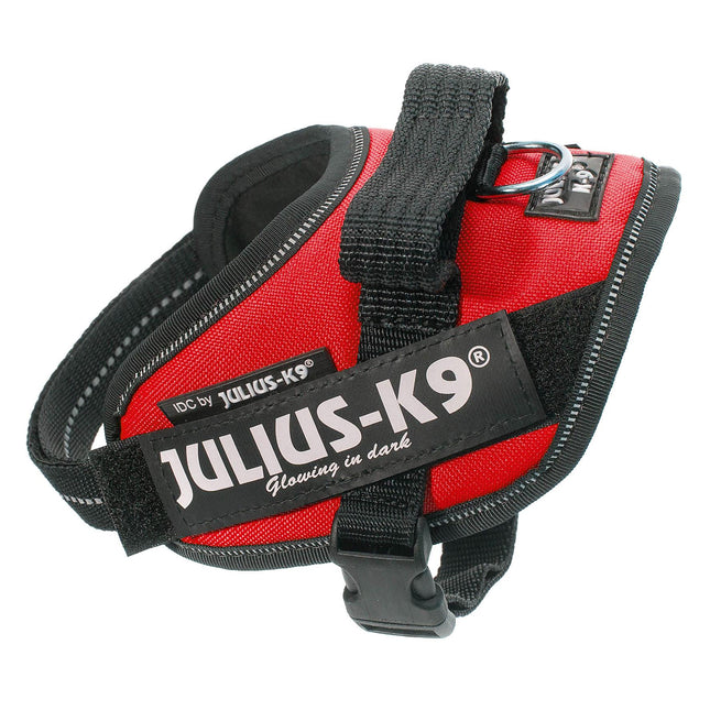 Taille du faisceau d'alimentation IDC. Mini-mini rouge