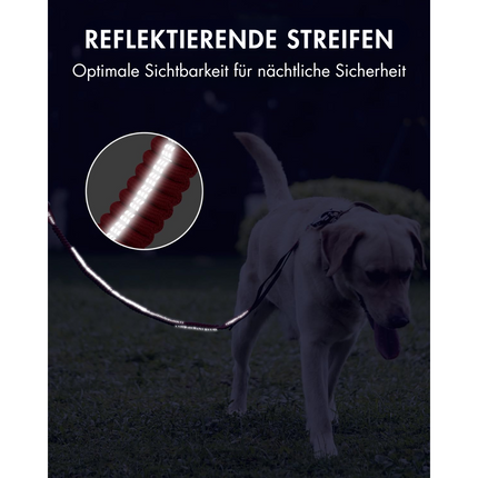 Hundeleine mit Sicherheitsgurt, Red