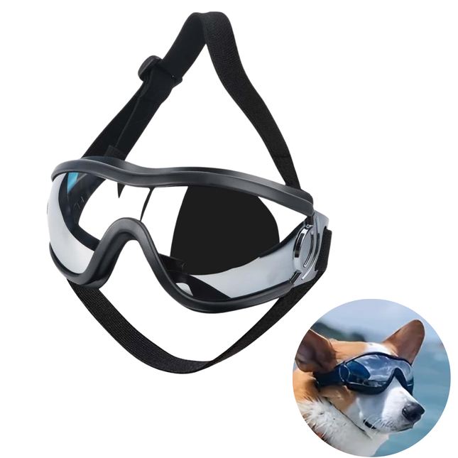 Hundebrille