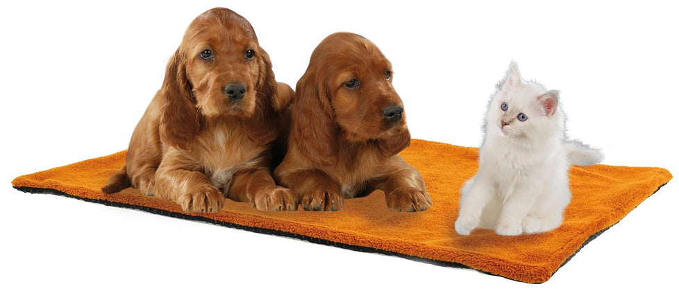 Comfort Hunde-Liegematte