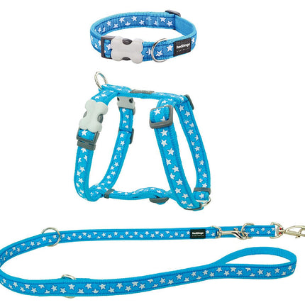 Kit Puppy RD 12mm Etoiles blanc turquoise XS