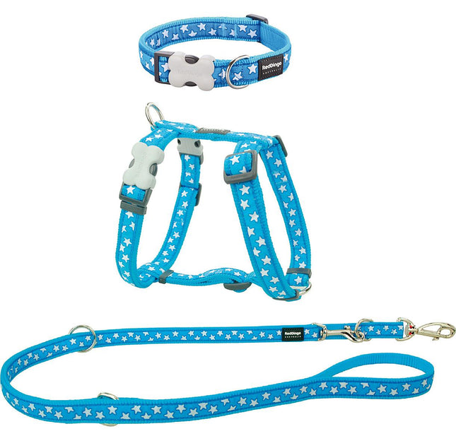 Kit Puppy RD 12mm Etoiles blanc turquoise XS