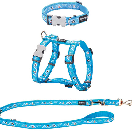 RD Puppy Kit 12mm Pinguise Turquoise XS