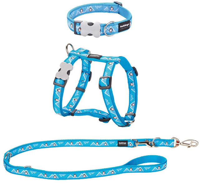 RD Puppy Kit 12mm Pinguise Turquoise XS