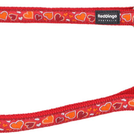 Laisse en plomb design Breezy Love Orange, M, 20mm 200cm