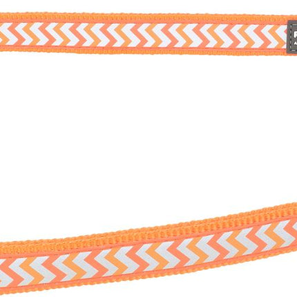 Laisse City Réfléchissante Ziggy Orange, M, 20mm 200cm
