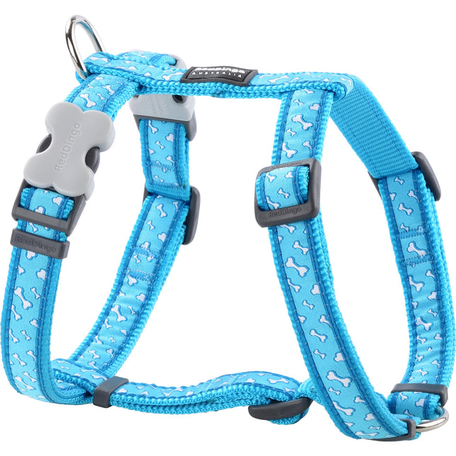 Harnais Flying bones turquoise XS
