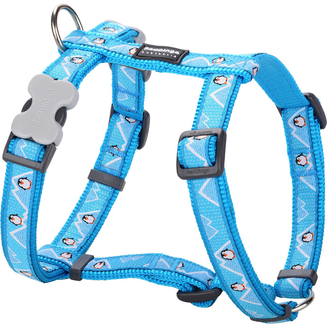 Harnais Pingouin Turquoise XS