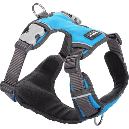 Padded Geschirr Türkis XS
