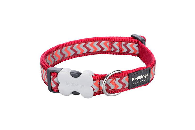 Collier réfléchissant pour chien