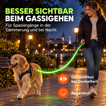 LED Hundeleine