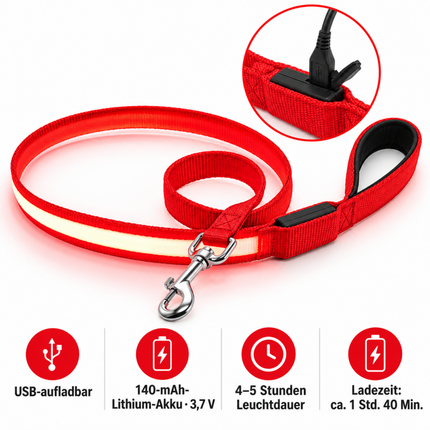 LED Hundeleine