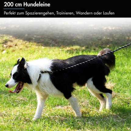 Hundeleine mit Komfortgriff
