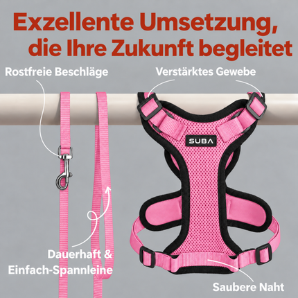 Katzengeschirr mit Leine ausbruchsicher