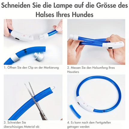 Leuchthalsband Hund, 70 cm