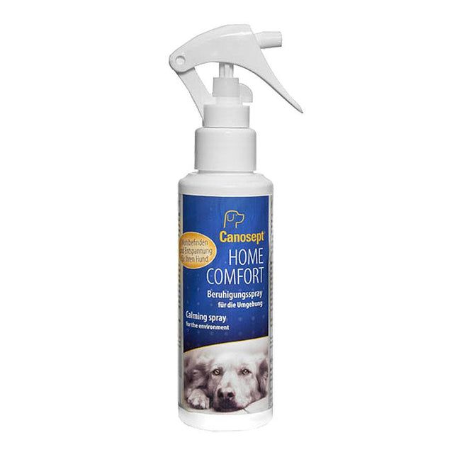 Spray Confort Maison 100 ml