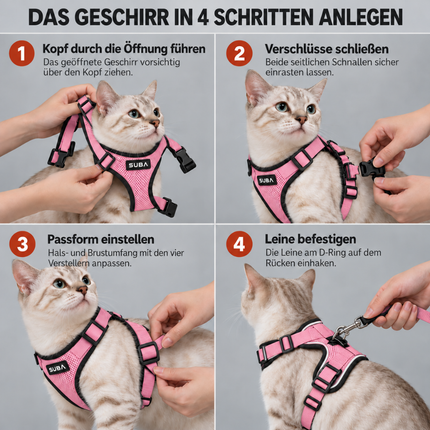Katzengeschirr mit Leine ausbruchsicher