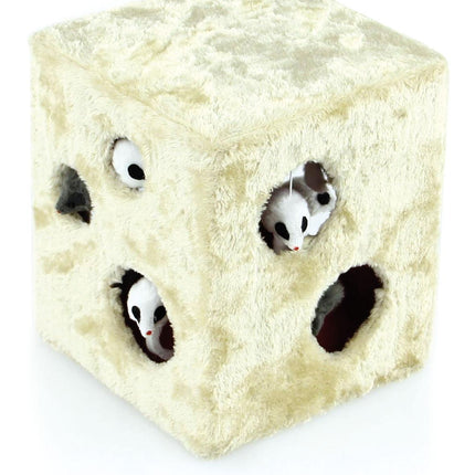 Jouer aux dés pour les chats