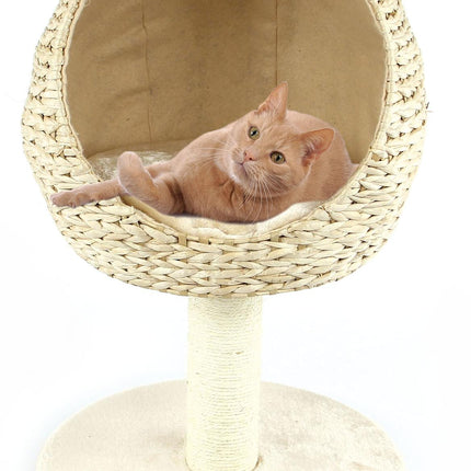 Salon pour chats Priochill