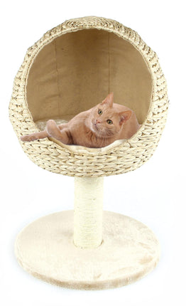 Salon pour chats Priochill