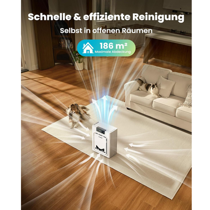 Luftreiniger mit Waschbare HEPA-Filter