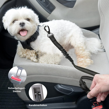 Anschnallgurt Hund Auto, 3-In-1