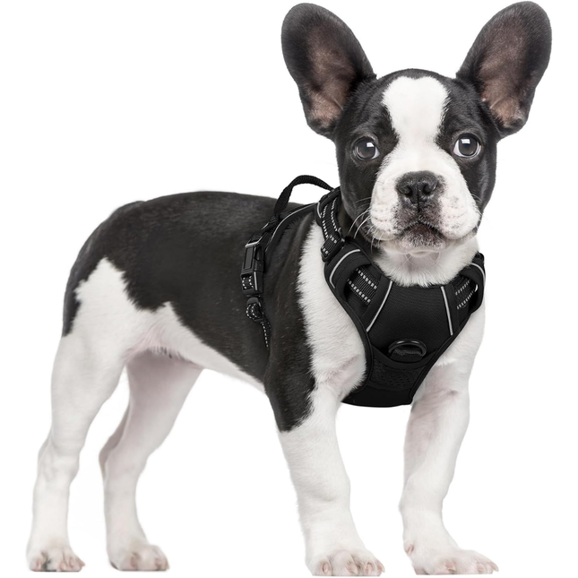 Hundegeschirr